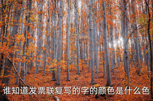 雙聯(lián)發(fā)票是什么字體，三聯(lián)發(fā)票和兩聯(lián)發(fā)票大小一樣用重設(shè)置打印機(jī)嗎