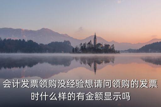 發(fā)票領用單是什么樣的，會計發(fā)票領購沒經(jīng)驗想請問領購的發(fā)票時什么樣的有金額顯示嗎