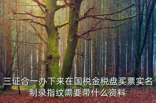 三證合一辦下來(lái)在國(guó)稅金稅盤(pán)買(mǎi)票實(shí)名制錄指紋需要帶什么資料