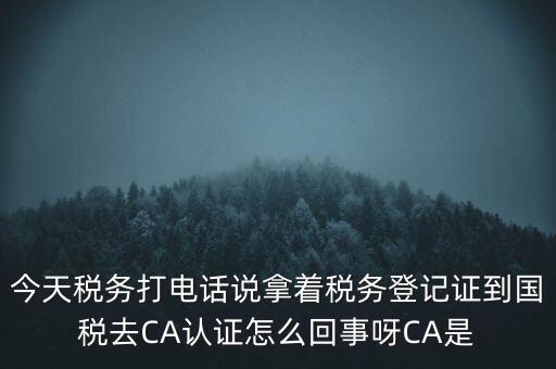 今天稅務(wù)打電話說拿著稅務(wù)登記證到國(guó)稅去CA認(rèn)證怎么回事呀CA是