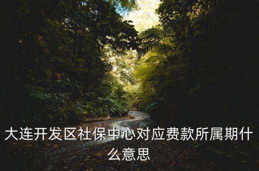 社保所屬期是什么意思，大連開發(fā)區(qū)社保中心對(duì)應(yīng)費(fèi)款所屬期什么意思