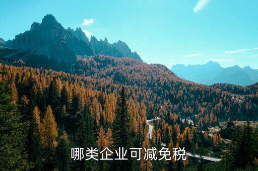 什么樣的企業(yè)免增值稅，哪些企業(yè)免征增值稅