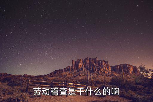 稽查是什么工作，勞動稽查是干什么的啊