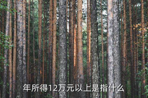 年所得12萬指的是什么意思，年所得12萬元以上是指什么
