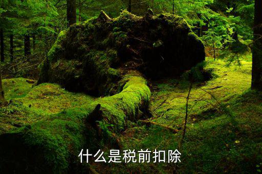 什么是稅前扣除