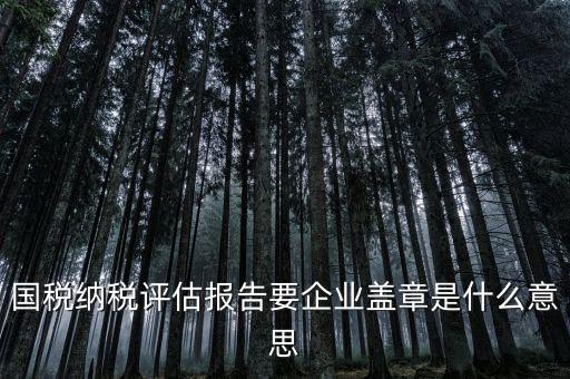 稅務國別報告是什么意思，國稅納稅評估報告要企業(yè)蓋章是什么意思