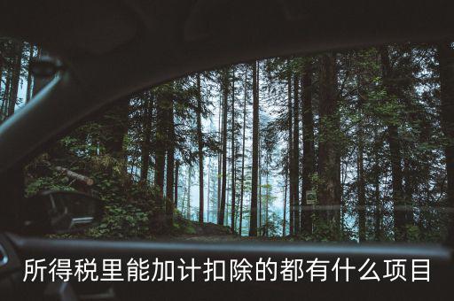 所得稅里能加計扣除的都有什么項(xiàng)目