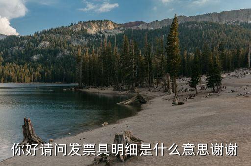 什么是個稅明細(xì)，個稅是什么是干嘛的詳細(xì)點(diǎn)哈
