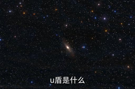 對(duì)外支付是什么，u盾是什么