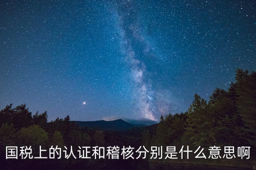 國稅上的認證和稽核分別是什么意思啊