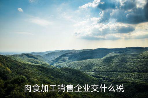 賣(mài)肉類(lèi)交什么地稅，批發(fā)肉類(lèi)的稅是多少