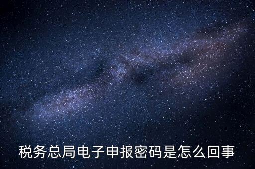 網(wǎng)上如何申報國稅密碼是什么原因，網(wǎng)上報稅 報稅密碼是什么