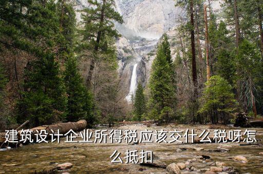 建筑設計企業(yè)所得稅應該交什么稅呀怎么抵扣