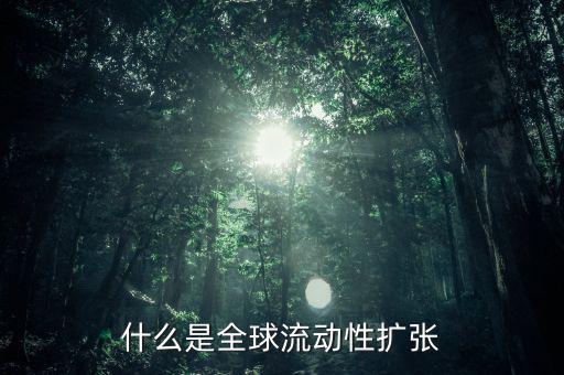 什么叫非居民風(fēng)險，為什么歐洲央行負債資金來源于非居民