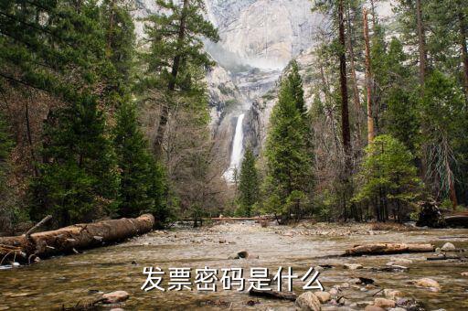 發(fā)票系統(tǒng)的密碼是什么樣的，國稅局發(fā)票軟件里用戶代碼和密碼是什么