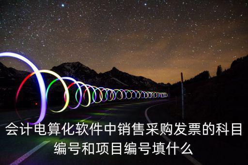 會(huì)計(jì)電算化軟件中銷售采購發(fā)票的科目編號(hào)和項(xiàng)目編號(hào)填什么