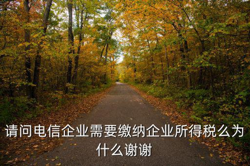 電信服務(wù)交什么稅，請(qǐng)問電信企業(yè)需要繳納企業(yè)所得稅么為什么謝謝