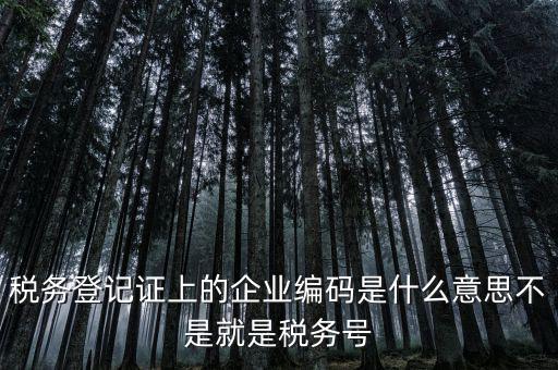 稅務(wù)編碼是什么意思，稅務(wù)登記證上的企業(yè)編碼是什么意思不是就是稅務(wù)號(hào)
