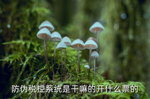什么是稅控系統(tǒng)數(shù)據(jù)，金稅盤是什么