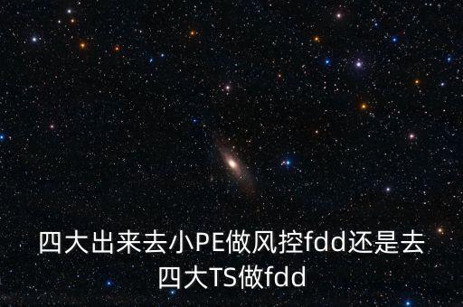 四大出來(lái)去小PE做風(fēng)控fdd還是去四大TS做fdd