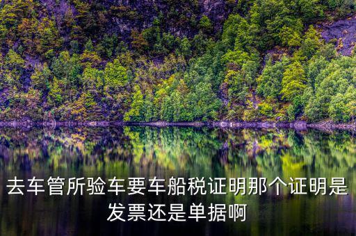 車船納稅證明是什么，車船稅證明是什么是購置稅嗎