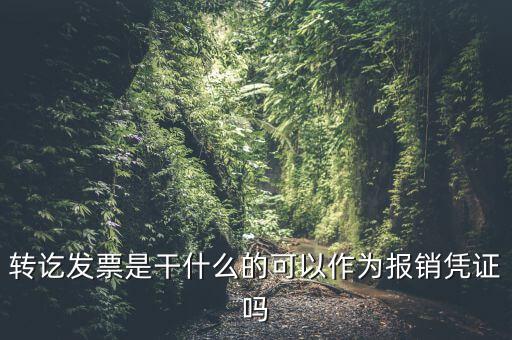 什么叫轉(zhuǎn)發(fā)票，我開了一張農(nóng)村合作信用社的轉(zhuǎn)賬發(fā)票請問什么是對應發(fā)票
