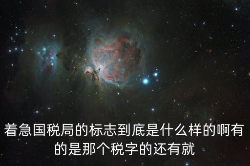稅優(yōu)識別碼是什么樣的，納稅人辨認號和代碼是1樣的