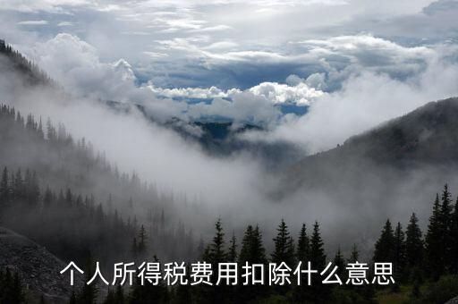稅收扣除是什么，個(gè)人所得稅費(fèi)用扣除什么意思