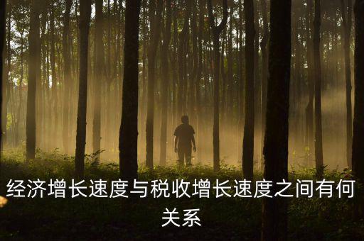 稅收增速是什么，經(jīng)濟增長速度與稅收增長速度之間有何關(guān)系