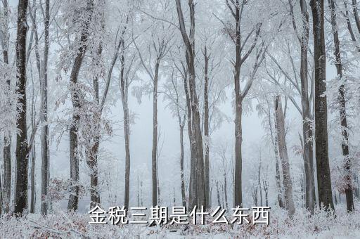 金稅三期雙軌是什么意思，金稅三期是什么意思