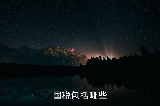 國稅綜合業(yè)務指什么，國稅包括哪些