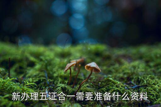稅務(wù)五證合一需要什么資料，五證合一后稅務(wù)變更需要什么資料