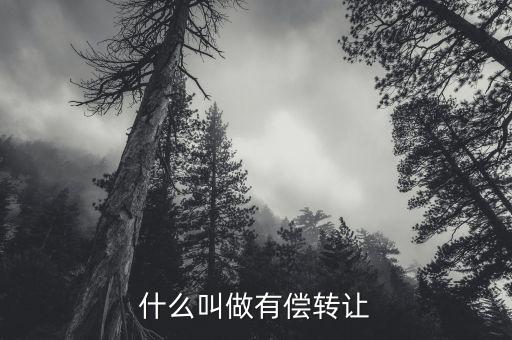 有償轉(zhuǎn)移安置什么意思，有償轉(zhuǎn)發(fā)什么意思