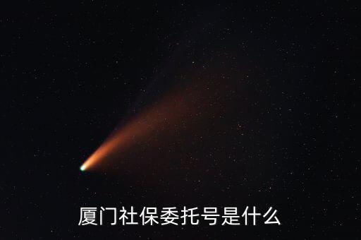 地稅社保委托號是什么，三證合一后去地稅局打社保單子說是與社保局的納稅人識別號不一