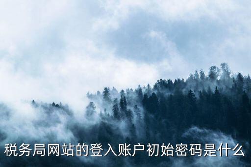 國稅網(wǎng)上登陸密碼是什么，稅務局網(wǎng)站的登入賬戶初始密碼是什么