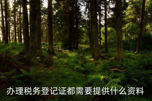 辦理稅務(wù)登記需要什么資料，辦理稅務(wù)登記證都需要提供什么資料