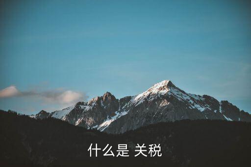 什么是 關稅
