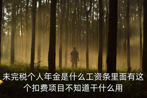 個稅年金是什么，未完稅個人年金是什么工資條里面有這個扣費項目不知道干什么用