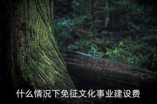 什么叫文化建設(shè)費(fèi)，文化建設(shè)事業(yè)費(fèi)