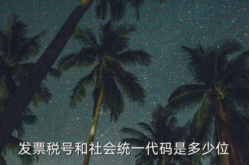發(fā)票統(tǒng)一社會(huì)信用代碼是什么，現(xiàn)在開(kāi)發(fā)票要的社會(huì)信用代碼是誰(shuí)的代碼