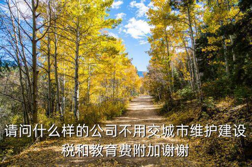 什么情況不交城建稅，什么時(shí)候不需要交納營(yíng)業(yè)稅城建稅及附加