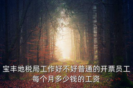 寶豐國(guó)稅局局長(zhǎng)叫什么，寶豐三分局移動(dòng)營(yíng)業(yè)廳地址在哪里