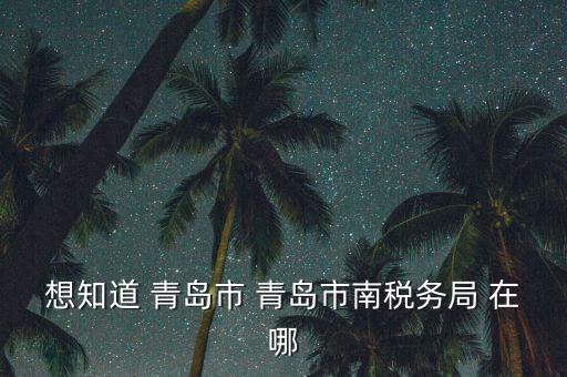 青島稅務局在什么地方，青島國稅局在什么位置在什么路上