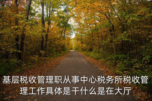 稅源管理干什么，基層稅收管理職從事中心稅務(wù)所稅收管理工作具體是干什么是在大廳