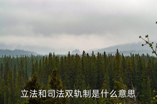 雙軌運行什么意思，雙軌運行解數(shù)字