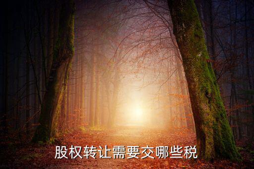 股權(quán)轉(zhuǎn)讓需要繳納什么稅，股權(quán)轉(zhuǎn)讓要交什么稅