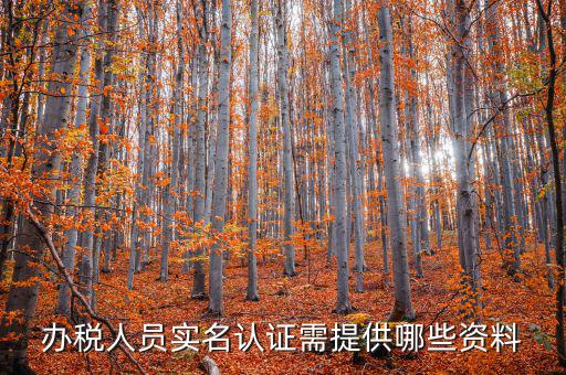 實(shí)名辦稅需要什么資料，在國(guó)稅局辦理法人實(shí)名制認(rèn)證要帶什么材料