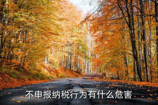 0申報(bào)稅沒有報(bào)會(huì)有什么影響，不申報(bào)納稅行為有什么危害