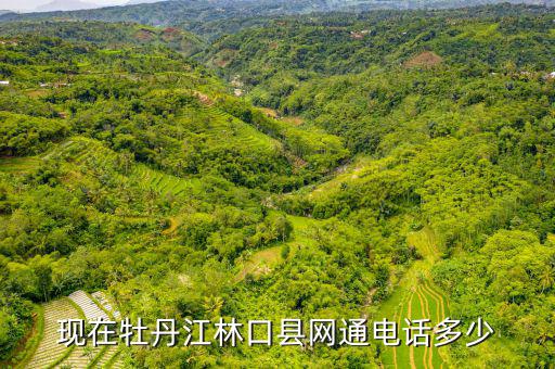 林口縣稅務(wù)局電話號碼是什么，現(xiàn)在牡丹江林口縣網(wǎng)通電話多少