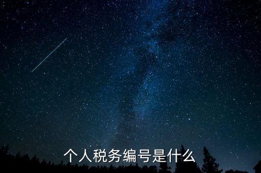 個(gè)人的稅收編號(hào)是什么，個(gè)人所得稅里面的注冊(cè)編碼是什么